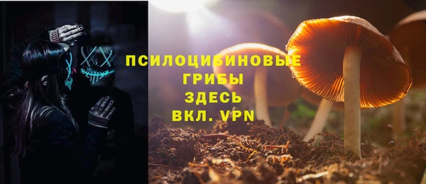 бошки Вязьма