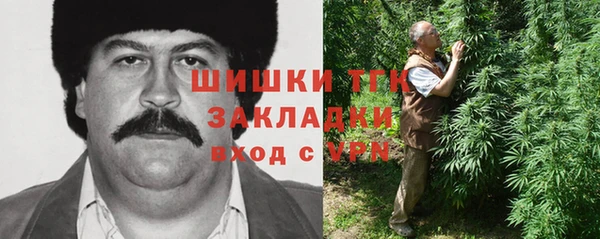 бошки Вязьма