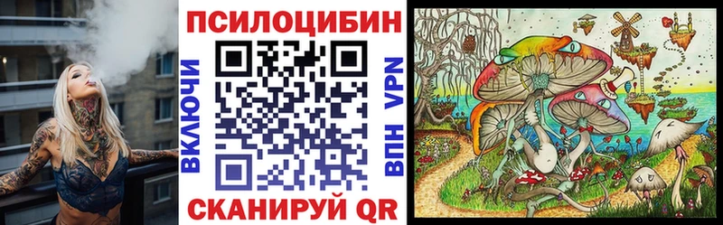 Псилоцибиновые грибы Psilocybe  купить   Вилючинск 
